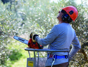 Echo CS-280TES benzinmotoros láncfűrész