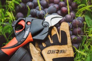 ECHO DPS-350 akkumulátoros metszőolló