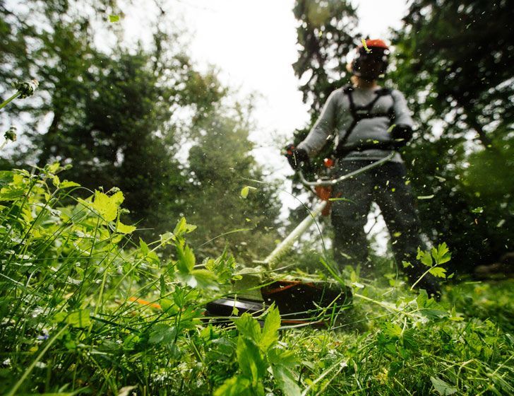 Echo SRM-420TES benzinmotoros bozótvágó