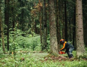 Az ECHO CS-501SX nem véletlenül az egyik legnépszerűbb modell a professzionális felhasználók körében. Az ECHO X-Széria tagjaként ez a motorfűrész a csúcstechnológiát képviseli