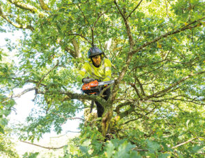 cs2511-tes láncfűrész